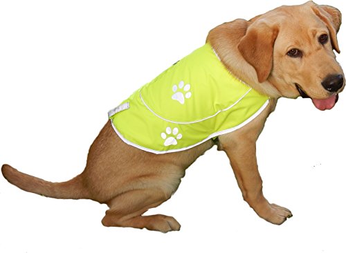 Perro Chaleco reflectante –Chaleco de caza impermeable amarillo de seguridad para mejor visibilidad en día y noche con claps, conectores cómodo tamaño ajustable, tallas XS, S, M, L, XL Color Naranja