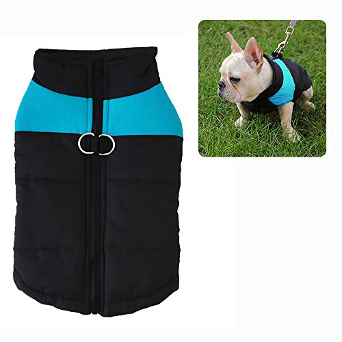 Perro Chaqueta Otoño Invierno, ZoneYan Mascota Chaleco Caliente, Perrito Ropa, Ropa Mascotas Abrigada Algodón, Perro Chaleco Impermeable, Abrigo Perro Cálido Proteccion