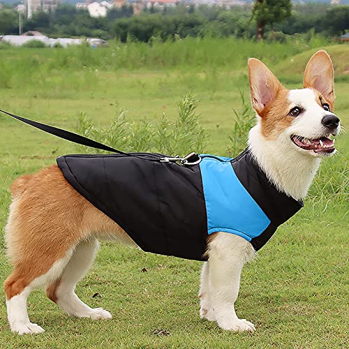 Perro Chaqueta Otoño Invierno,Mascota Chaleco Caliente,Chaqueta de Perro con Forro,Ropa de Algodón para Perros,Ropa Mascotas Abrigada Algodón,Chaleco para Mascotas con Arnés con Anillo en D (L)