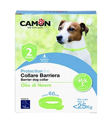 Perro Protección Collar Barr