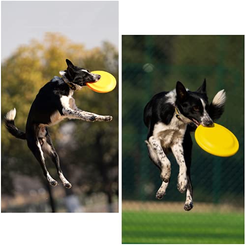 Perros Frisbee Interactivo 23.5CM Frisbee Perro, Juguete de Disco Volador para Perro Juguete de Disco Flotante Juguetes de Tiro Captura Juego para Perros Grandes y Medianos (Amarillo)