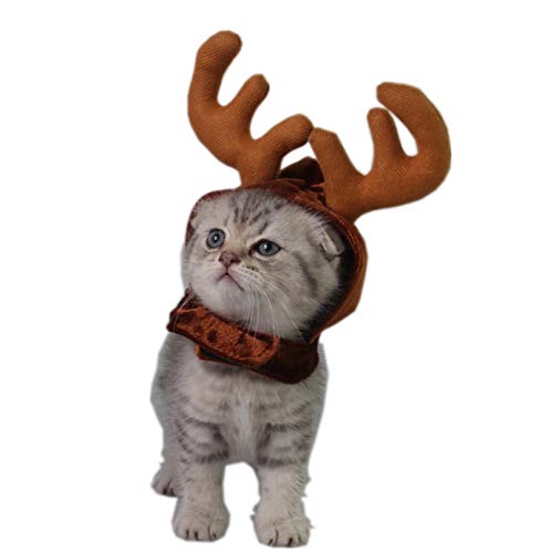 Perros, Gato, Reno, Diadema, Gorra para Mascota, Gato, Disfraz de Navidad, decoración para el Cabello, astas de Alce para Mascotas, Lindo Cachorro, Cuernos de Ciervo, Diademas navideñas