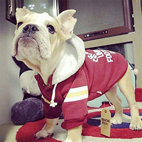 perros Ropa perros abrigo mascotas ropa Moda perro ropa de invierno pulóver letra con capucha abrigo para perro pequeño grande Chihuahua Bulldog suministros para mascotas Navidad año nuevo Regalo