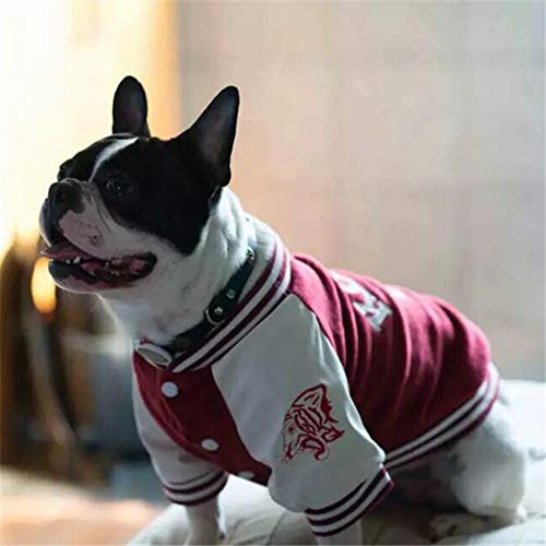 perros Ropa perros abrigo mascotas ropa Moda perro ropa de invierno pulóver letra con capucha abrigo para perro pequeño grande Chihuahua Bulldog suministros para mascotas Navidad año nuevo Regalo