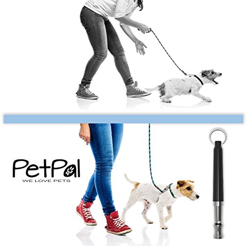 Perros Silbato – Premium Silbato para Perros Accesorios | #1 Superventas para fácil Entrenamiento de Perros y Cachorros de Educación, ultrasonidos, Pipas con Alta frecuencia Incluye Correa