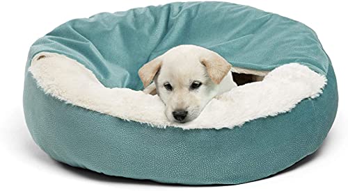 Peswety Cuddle - Cama para perro, cama para gatos, funda mediana para mascotas, lavable y suave, manta de terciopelo redonda (49,7 cm), color verde