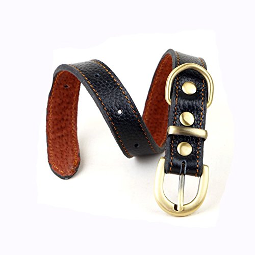 Pet Online Luz suave cuero collar de perro collar de perro pequeño, negro, 1,5*26~33cm