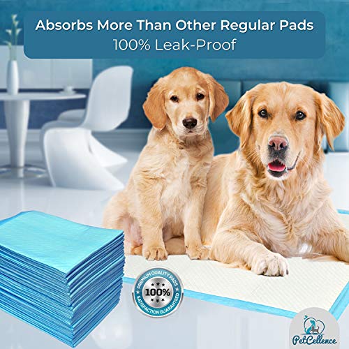 PetCellence Empapadores para Perros - Paquete de 100 Almohadillas Toallitas de Entrenamiento para Mascotas, Alfombrilla para Comedero y Bandeja de Adiestramiento para Cachorros - Grande 60 cm x 60 cm