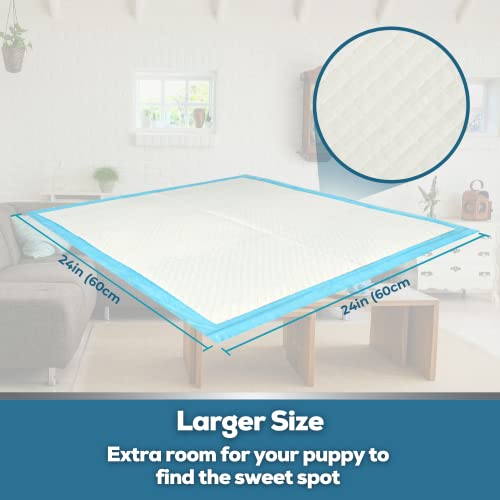 PetCellence Empapadores para Perros - Paquete de 30 Almohadillas Toallitas de Entrenamiento para Mascotas, Alfombrilla para Comedero y Bandeja de Adiestramiento para Cachorros - Grande 60 cm x 60 cm