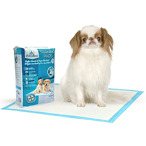 PetCellence Empapadores para Perros - Paquete de 30 Almohadillas Toallitas de Entrenamiento para Mascotas, Alfombrilla para Comedero y Bandeja de Adiestramiento para Cachorros - Grande 60 cm x 60 cm