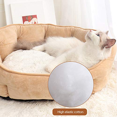 PETCUTE Cama de Perro Gato Mediano Sofá para Perro Lavable Cojín de Gato Ovalado Cama de Suave Gamuza para Mascotas Pequeños(Caqui 55 * 49 * 22cm)