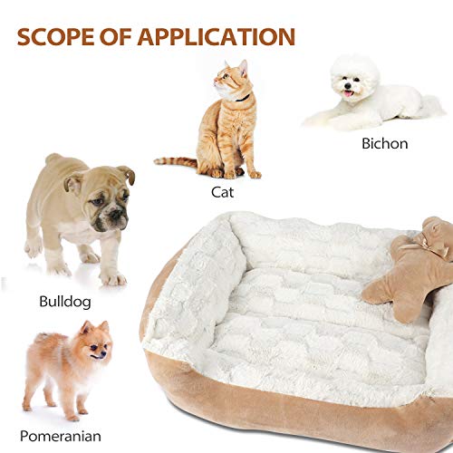 PETCUTE Cama Perro Mediano Cama Relajante Gatos Sofá para Perro Lavable Cama de Suave Gamuza para Perros y Gatos Pequeños(Caqui 56 * 46 * 17cm)