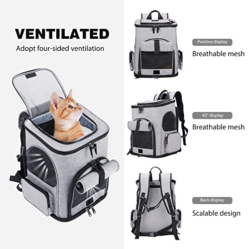 PETCUTE Mochila Transportín Gato,Ampliable Mochila para Perros y Gatos,con Correa de Hombro Ajustable,Plegable Mochila para Mascotas con Colchón Suave,Correa de Seguridad Interior,para Viajar