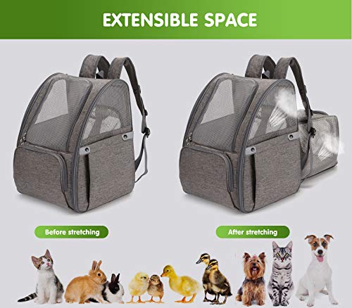 PETCUTE Transportin Gato Mochila Perro Pequeños Expandible y Plegable Bolsa para Transportar Gatos Transpirable Viaje Mochila para Llevar Perros Gato Gris