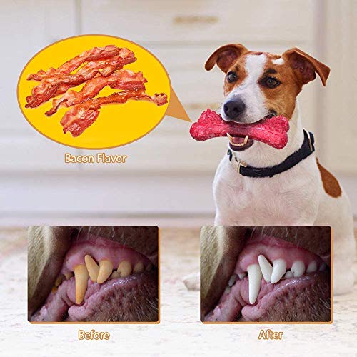 Peteast Juguetes para Masticar Perros, Huesos de Perro Resistentes para masticadores agresivos y Juguetes de Caucho Natural duraderos para Perros