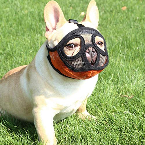 PETEMOO Bozal Corto para Perro con Forma de Bulldog de Malla Transpirable Ajustable para mascarar, Cortar y Entrenar a Perros