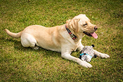 Petface Farard Buddies Crinkle - Juguete de Peluche para Perro