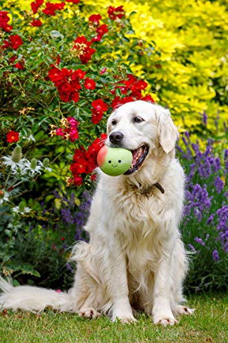 Petface Juguete de látex para Perro de Manzana, pequeño