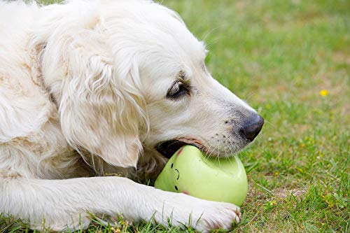 Petface Juguete de látex para Perro de Manzana, pequeño