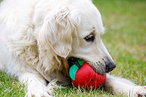 Petface Juguete para Perro látex Tomato