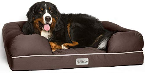 PetFusion Cama para Perro de Espuma viscoelástica Resistente al Agua de 10 cm para Perros Grandes (colchón ortopédico de 112 x 86 x 25 cm), Color marrón