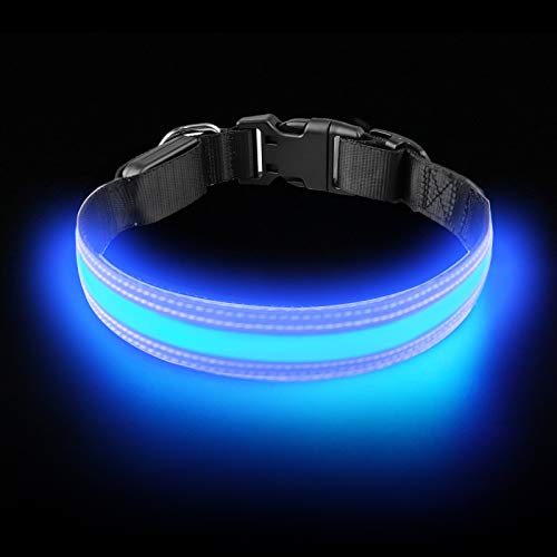 PetIsay LED Collar para Perros, Super Brillante con luz LED Recargable por USB, Collar de Perro Iluminado para Seguridad Nocturna, Resistente al Agua, tamaños Ajustables(Azul Real，S(30 - 40cm))