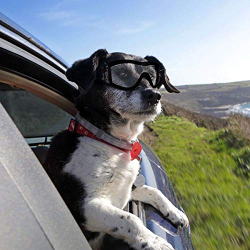 PETLESO Gafas de sol para perros grandes, superfrescas, fáciles de llevar, antirayos UV, gafas de protección para motocicleta, para perros grandes y medianos