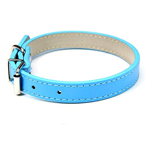 PetMeows Collar de Cuero anatómico para Perro, Suave y Colorido, para Mascotas, pequeño, Mediano, Grande, Cuello de Perro, Correa Ajustable, Collar para Gatito y Gato-Blanco_1,5 S