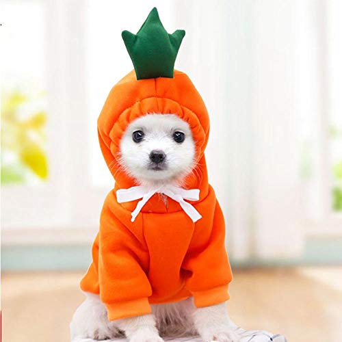 PetMeows Ropa para Perros Sudadera con Capucha para Perros Pomerania Forma de Fruta Ropa para Chihuahua Abrigo para Cachorros Ropa para Mascotas Cachorro-Perro Zanahoria Naranja co_SG