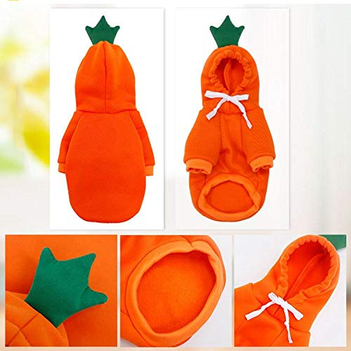 PetMeows Ropa para Perros Sudadera con Capucha para Perros Pomerania Forma de Fruta Ropa para Chihuahua Abrigo para Cachorros Ropa para Mascotas Cachorro-Perro Zanahoria Naranja co_SG