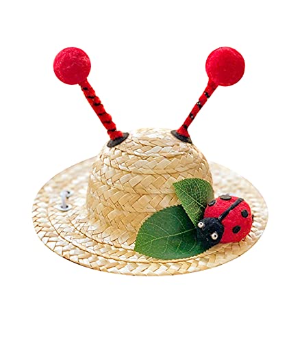 PetPhindU Sombrero Divertido del Perro del Casquillo del Gato del Perro Mascota Sombrero Sombrero De Paja Sombrero Mascota Nacimiento Sun Mascota Sombrero Divertido del Gato De Peluche Crossdress