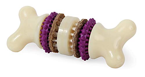 PetSafe - Anillos de Golosina para Perros Busy Buddy, Anillos de Repuesto para Masticar, Golosinas para Juguetes de Perros, Sabor a Cuero Crudo Higiene Dental Perros, Talla C