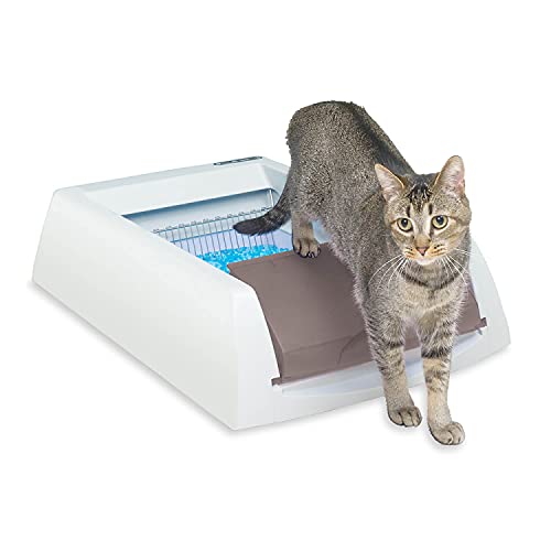 PetSafe - Arenero Autolimpiable para Gatos ScoopFree Original, Caja de Arena Automática para Gatos, Bandejas Desechables con Arena de Cristal, Control de Olores, Higiénica