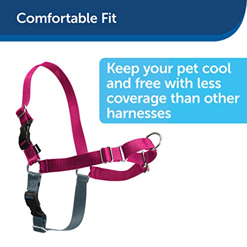 PetSafe Arnés para Perros Easy Walk