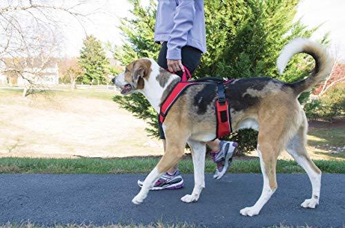 PetSafe EasySport - Arnés para Perros Acolchado Ajustable con Asa de Control y Cinta Reflectante - Rojo - Grande, L