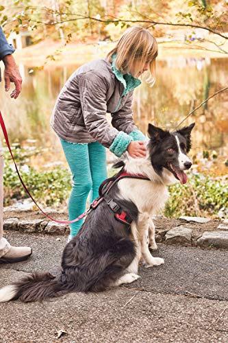 PetSafe EasySport - Arnés para Perros Acolchado Ajustable con Asa de Control y Cinta Reflectante - Rojo - Grande, L