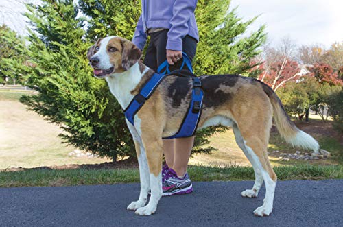 PetSafe EasySport - Arnés para Perros Acolchado Ajustable con Asa de Control y Cinta Reflectante - Talla L Grande - Azul