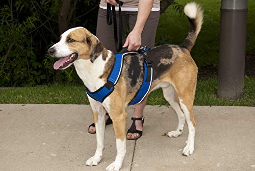 PetSafe EasySport - Arnés para Perros Acolchado Ajustable con Asa de Control y Cinta Reflectante - Talla L Grande - Azul