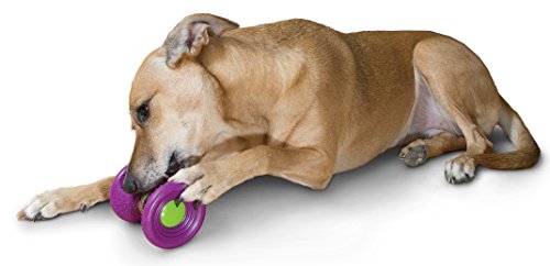 PetSafe Juguete para Perros Busy Buddy Ultra Woofer - Pequeño