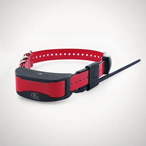 PetSafe Sportdog tek Serie 2.0 - Accesorio para Collar de Perro