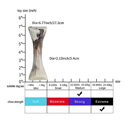 PETSLA Juguete para masticar para perros agresivos, casi indestructible, resistente y duradero, de nailon duro, no tóxico, hueso, reduce el aburrimiento (hueso de médula de nailon, 17 cm)