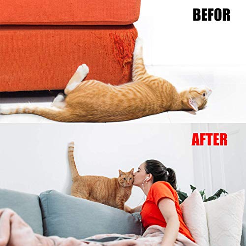 Petslucent Cinta Adhesiva disuasiva antiarañazos del Gato, Cinta Protectora de los Muebles del Gato Anti-rasguño, Guardias de Doble Cara para la Alfombra, sofá, sofá, Puerta (Verde 7.5cm x 27.5m)