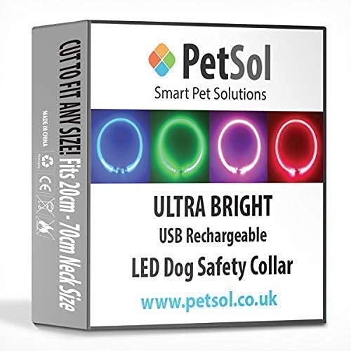 PetSol LED Collar Perro Collar de Seguridad LED Recargable Ultra Luminoso para su Mascota batería de Litio Recargable Mayor Visibilidad y Seguridad Talla única para Todos los Perros y Gatos (Rojo)