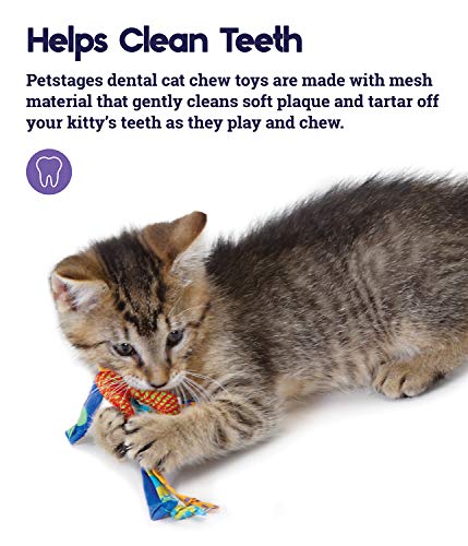 Petstages Catnip Dental Health Chews - Juguete para la salud dental - Para gatos - Multicolor - Pack de 2