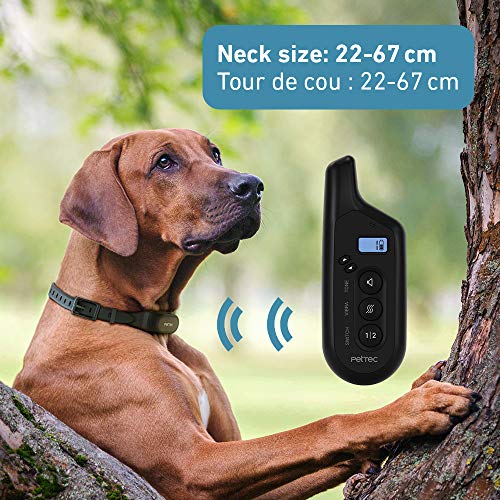 PetTec Vibra Trainer 2.0, Collar de adiestramiento con Fuerte vibración, 16 Niveles de vibración + señal acústica, Incl. Control Remoto con un Alcance de 300 m, batería Recargable, Impermeable IPX7