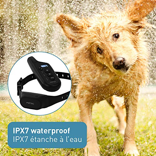 PetTec Vibra Trainer 2.0, Collar de adiestramiento con Fuerte vibración, 16 Niveles de vibración + señal acústica, Incl. Control Remoto con un Alcance de 300 m, batería Recargable, Impermeable IPX7