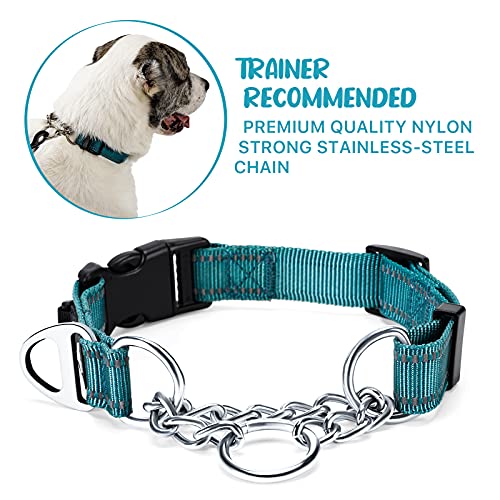 PETTOM Collar para Perros con Cierre de Seguridad, Collar Ancho Nylon Ajustable y Reflectante, Collar Perro Mediano, Grande y Pequeño Resistente (Azul, M)