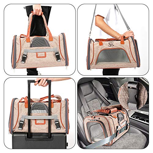 PETTOM Transportín Perro Gato Plegable con Tira Reflectante Parte Inferior Acolchada y Rigido Pet Carrier Impermeable Transpirable para Pequeños Mascota Viajes Avion Coche o Tren Camello