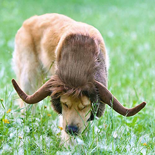 Petyoung Perro Cuerno Mane Traje Perro Peluca Ropa Sombreros Gato Disfraz de Toro Accesorios para Mascotas