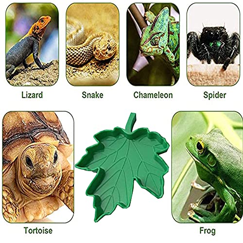 Phantasya 4 Piezas Cuencos Comida Reptiles, Cuencos Agua Reptiles, Cuenco Alimentación Reptiles, para Tortugas, Lagartos, Serpientes, Geco (3 Tamaños, 1 Pinza Curva)